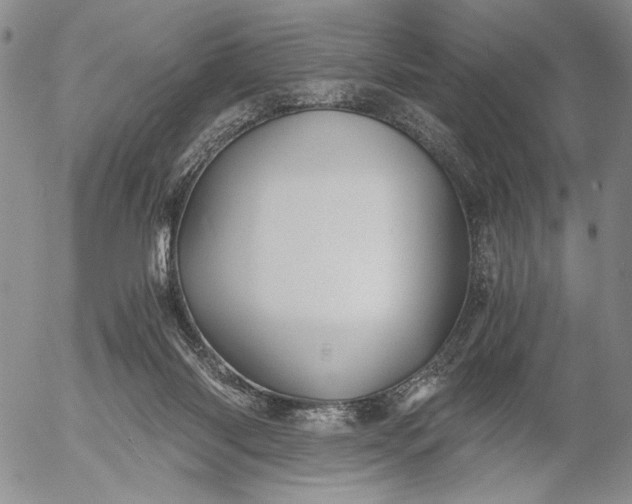 X0000056020118200509021806