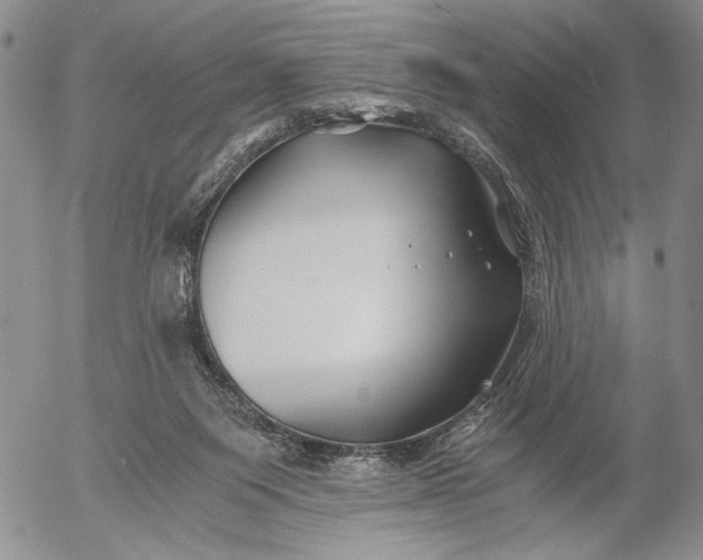 X0000056020119200509021806