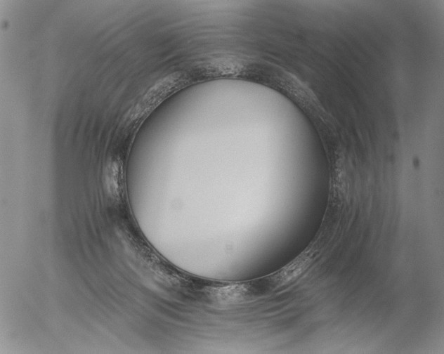 X0000056020122200509021806