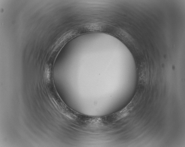 X0000056020124200509021806