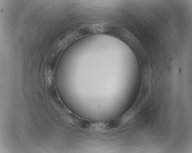 X0000056020125200509021806