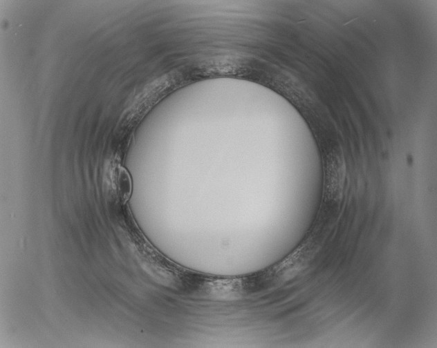 X0000056020126200509021806