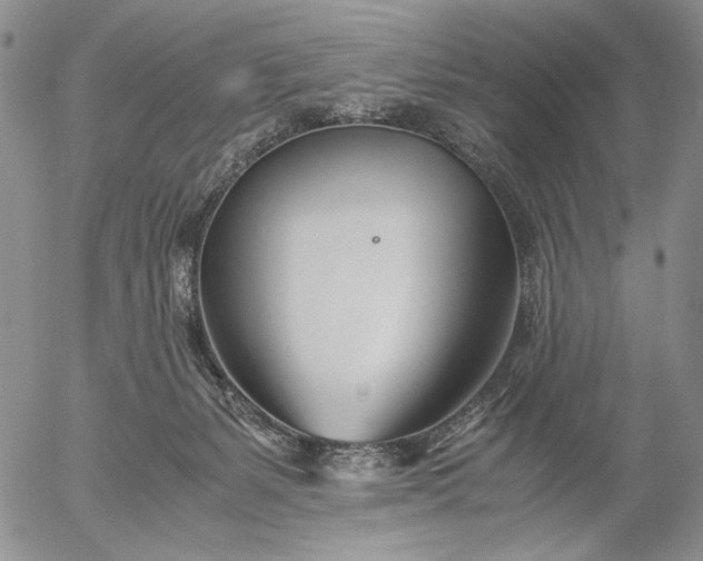 X0000056020127200509021806