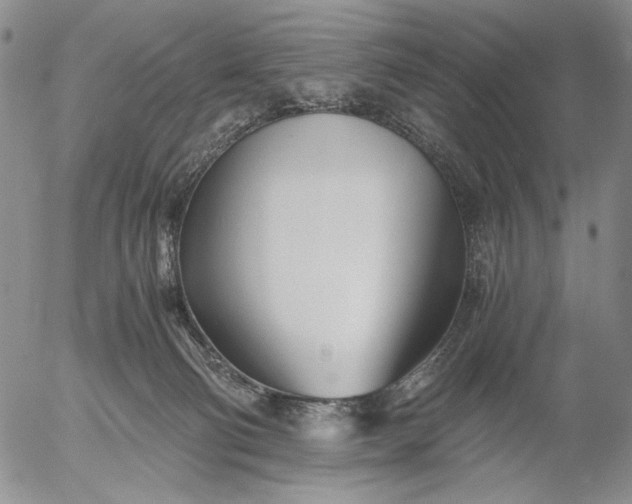 X0000056020130200509021806