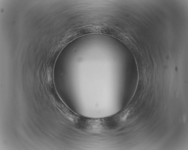 X0000056020131200509021806