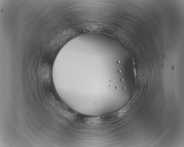 X0000056020132200509021806