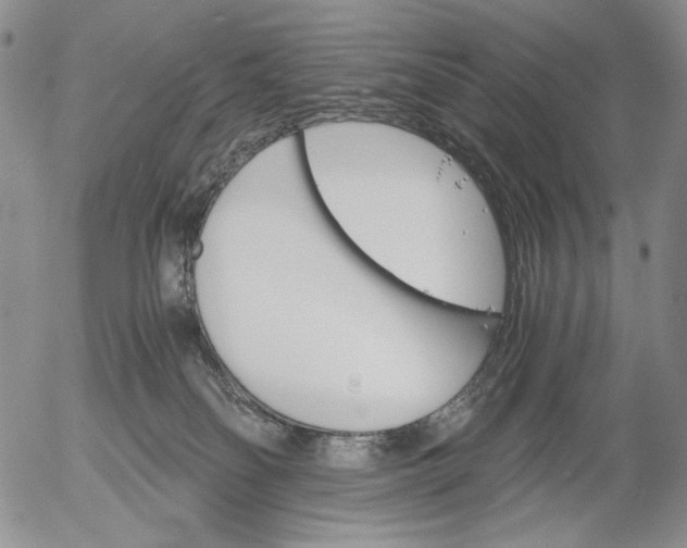 X0000056020134200509021806