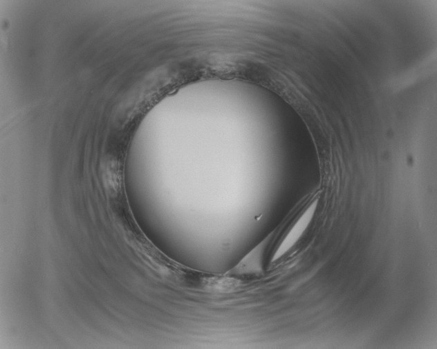 X0000056020135200509021805