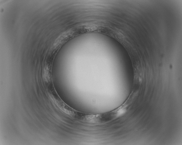 X0000056020136200509021805