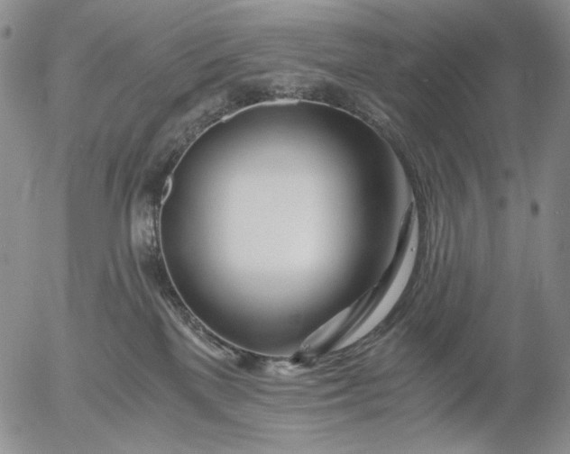 X0000056020137200509021805