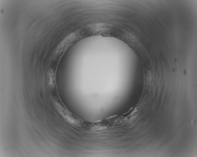 X0000056020138200509021805