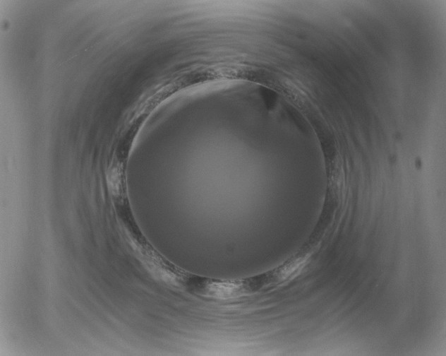 X0000056020139200509021805