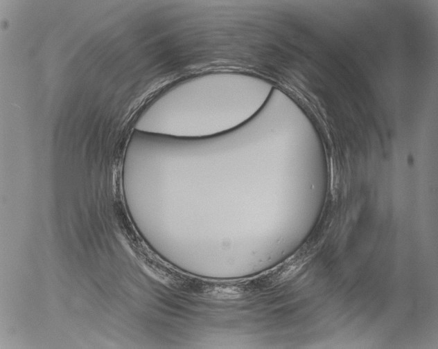 X0000056020157200509021805