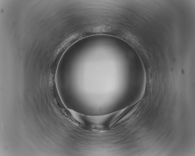 X0000056020164200509021805