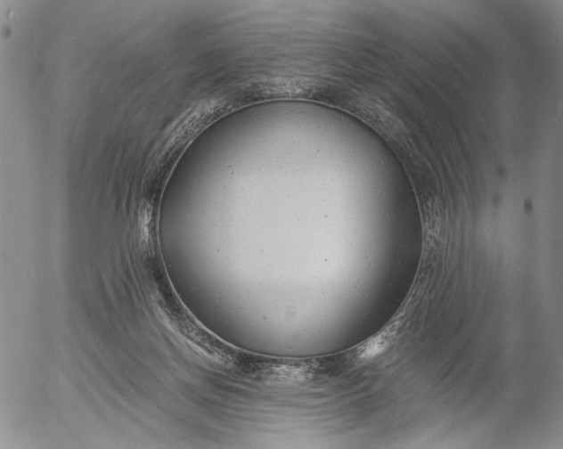 X0000056020166200509021805