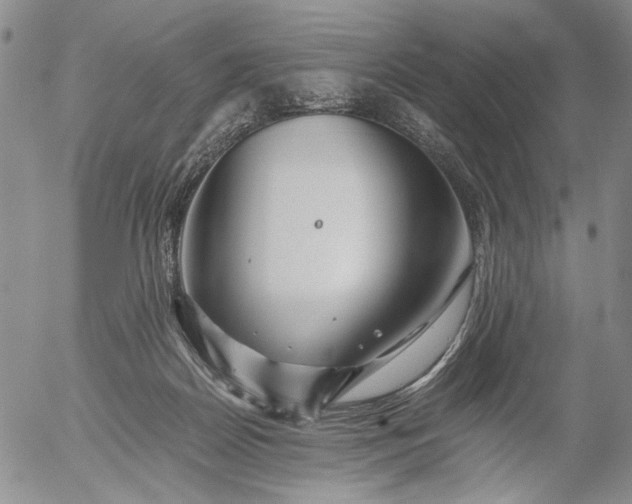 X0000056020170200509021805