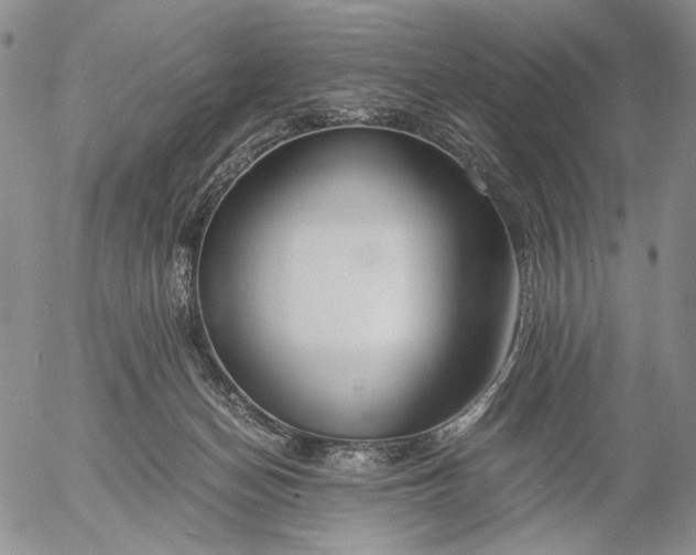 X0000056020174200509021805