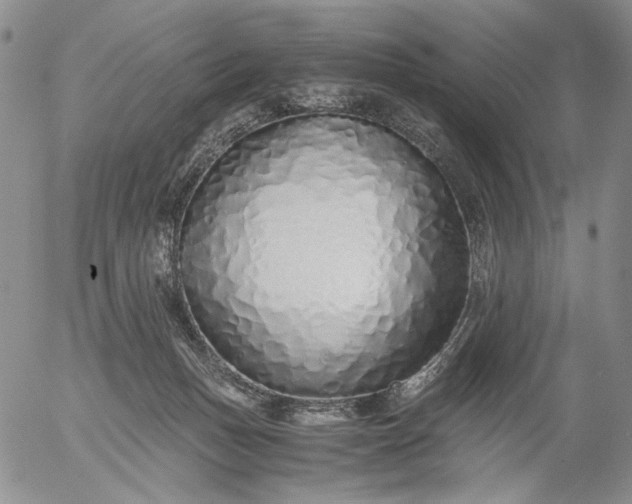 X0000056020175200509021805