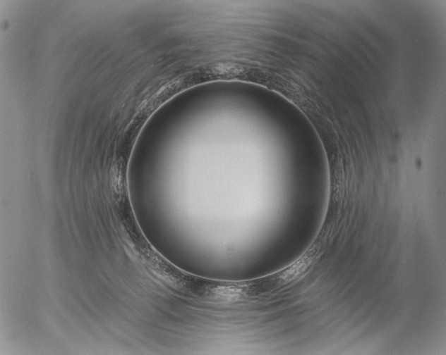 X0000056020176200509021805