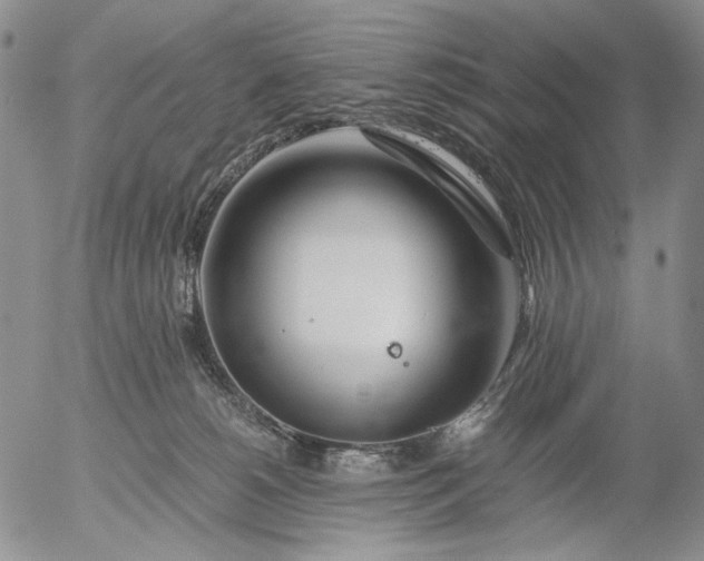 X0000056020180200509021805