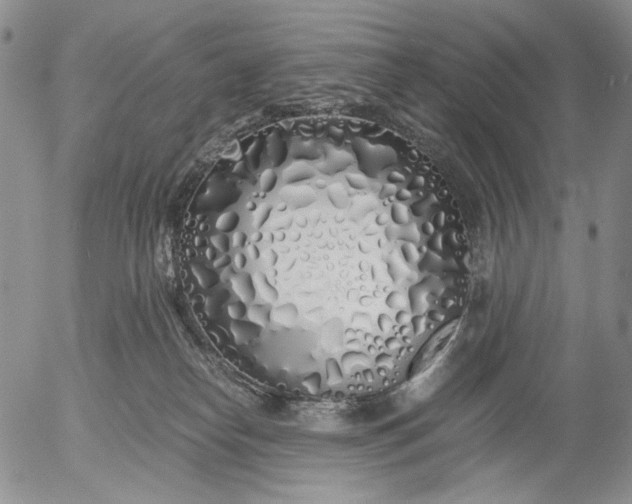 X0000056020182200509021805