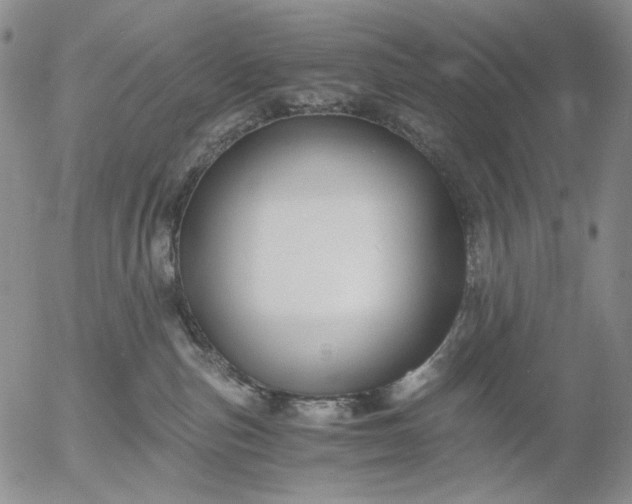 X0000056020187200509021805