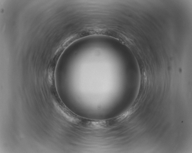 X0000056020188200509021805