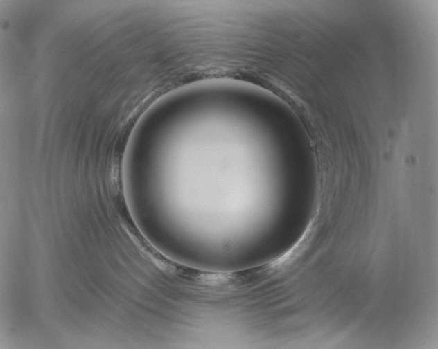 X0000056020192200509021805