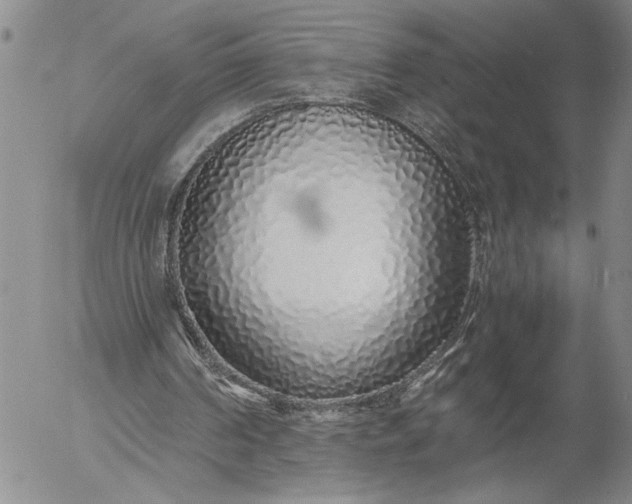 X0000056020194200509021805