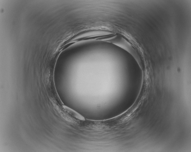 X0000056020201200509021804
