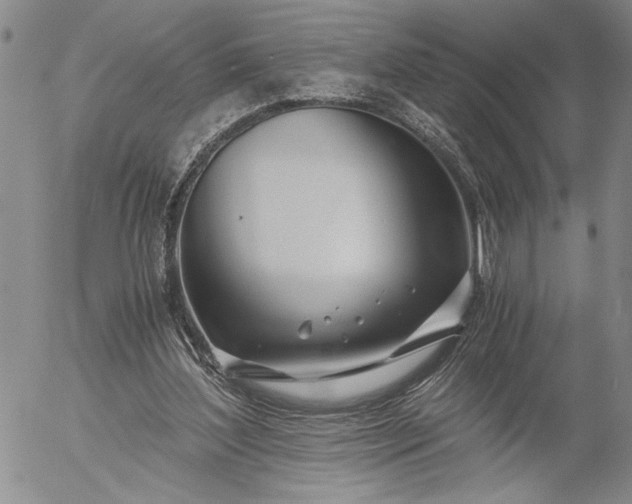 X0000056020204200509021804