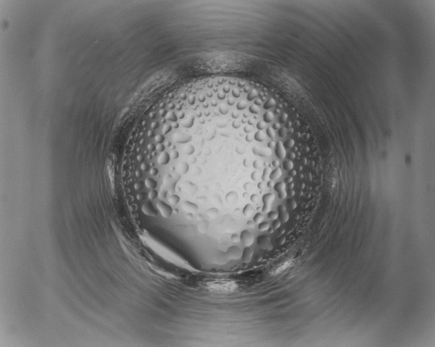 X0000056020214200509021804