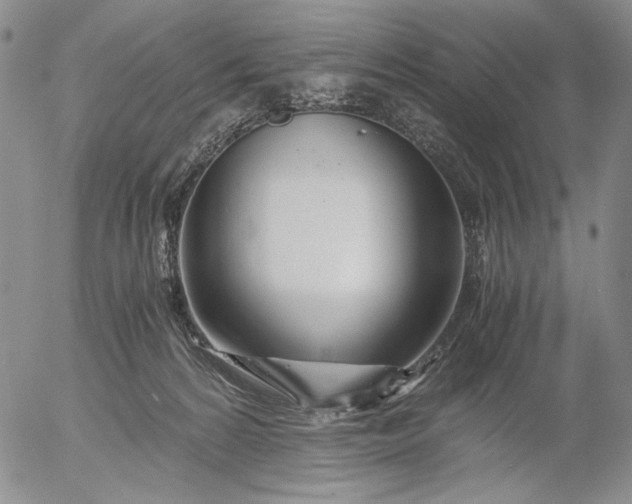 X0000056020224200509021804