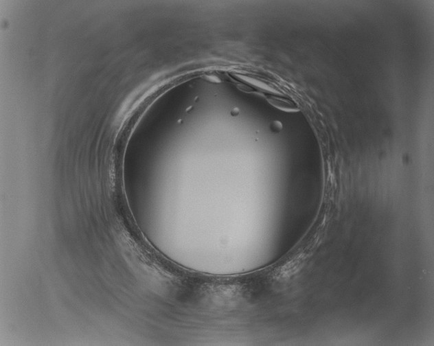X0000056020247200509021803