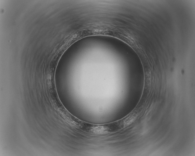 X0000056020269200509021803
