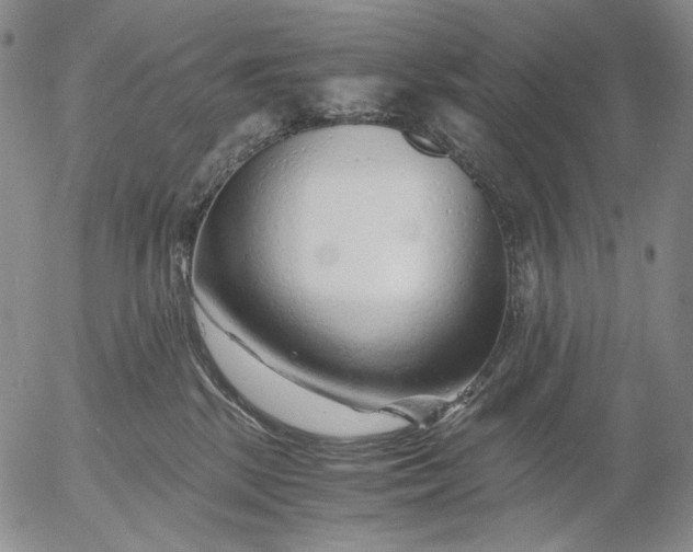 X0000056020281200509021804