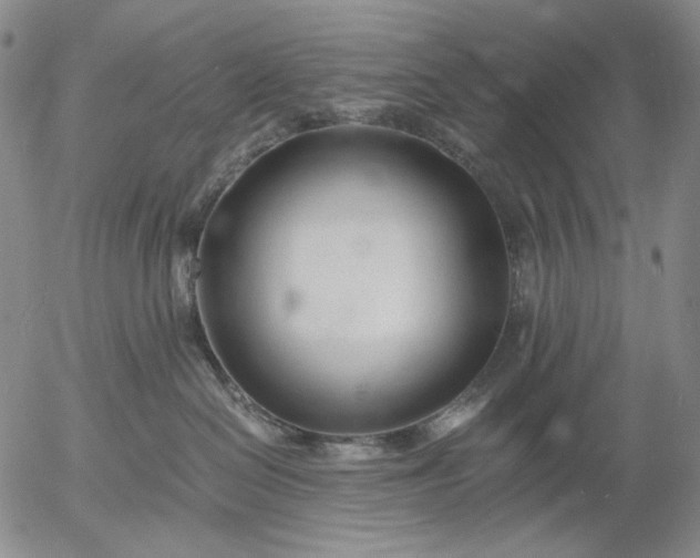 X0000056020286200509021804