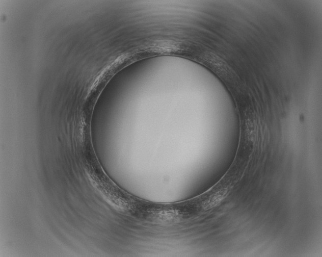 X0000056020304200509021803