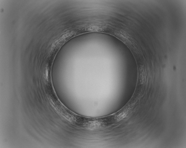 X0000056020310200509021803