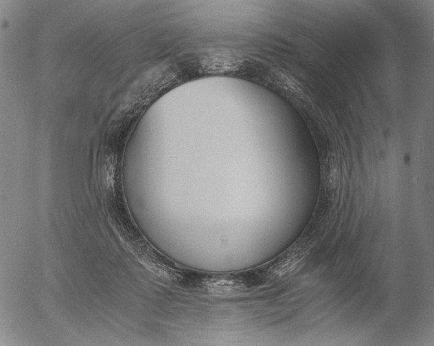 X0000056020315200509021802
