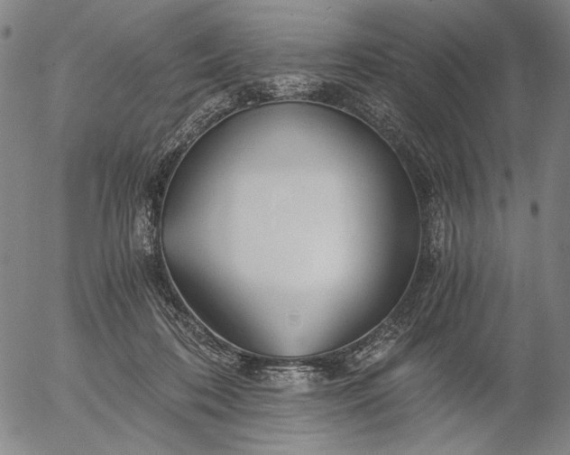X0000056020316200509021802