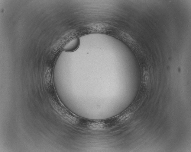 X0000056020318200509021802