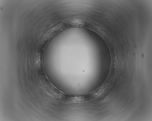 X0000056020320200509021802