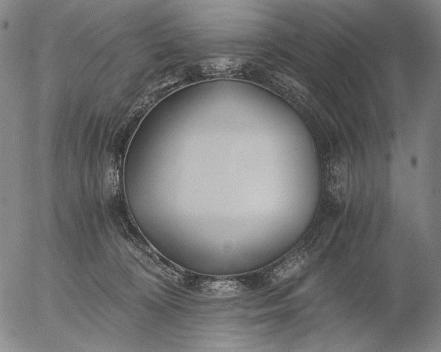 X0000056020324200509021802