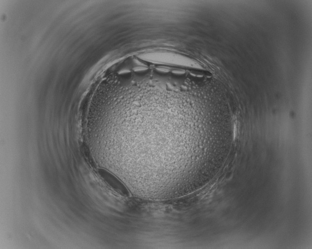 X0000056020339200509021801