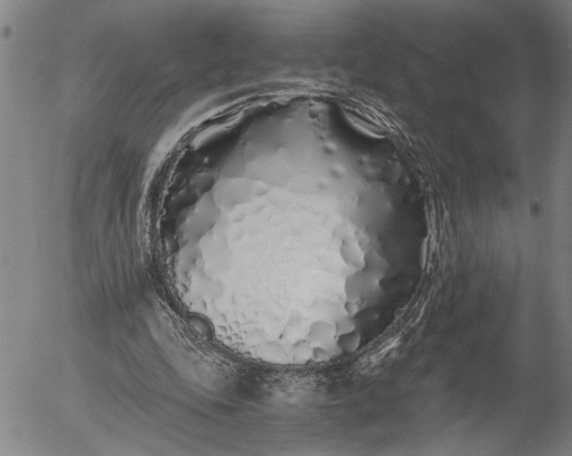 X0000056020343200509021801