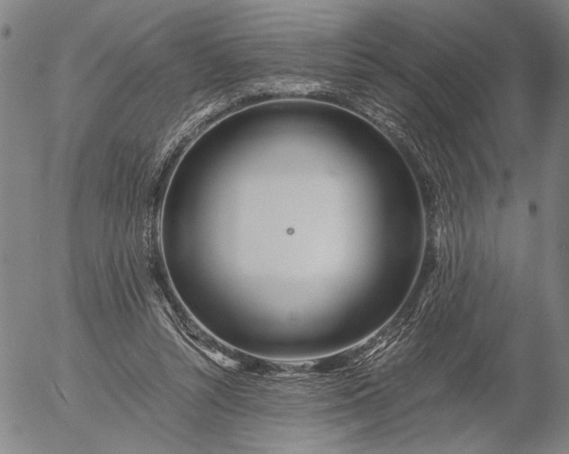 X0000056020352200509021802