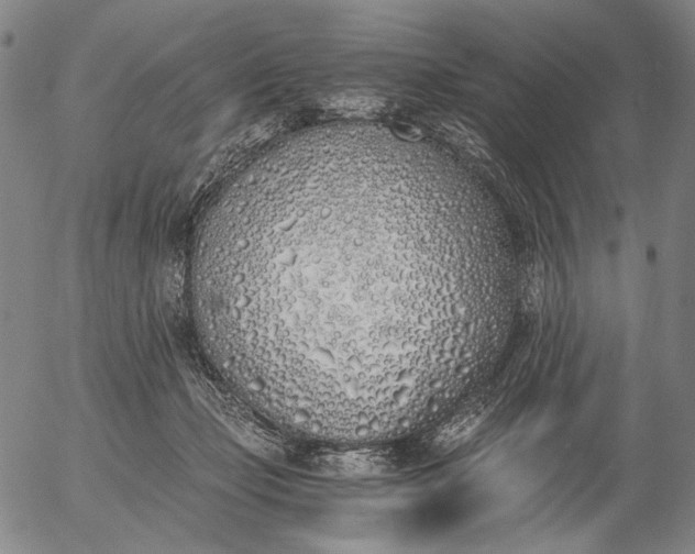 X0000056020365200509021802