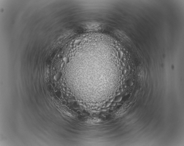 X0000056020369200509021802