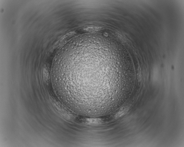 X0000056020371200509021802
